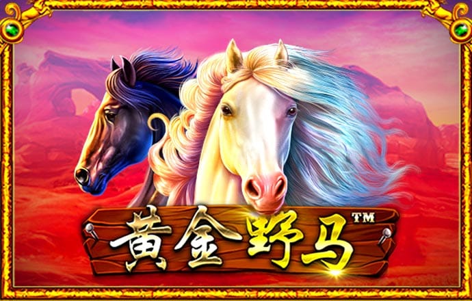 云开体育app下载安装