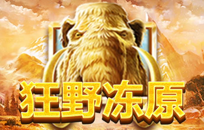加拿大28人工计划6码