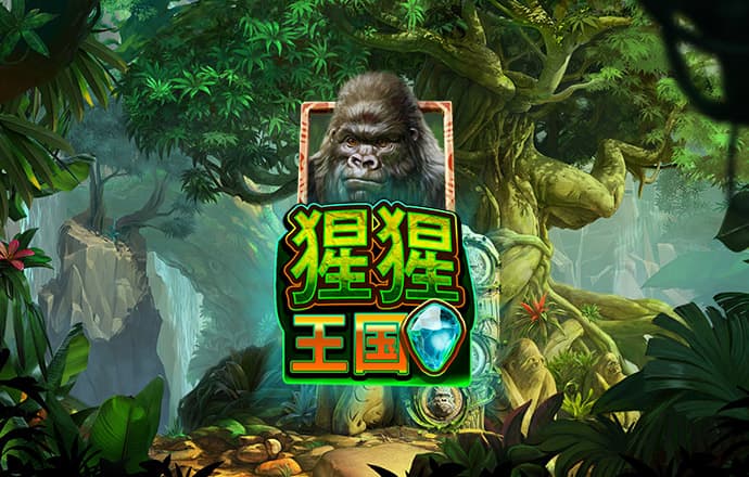 bet9 最新版